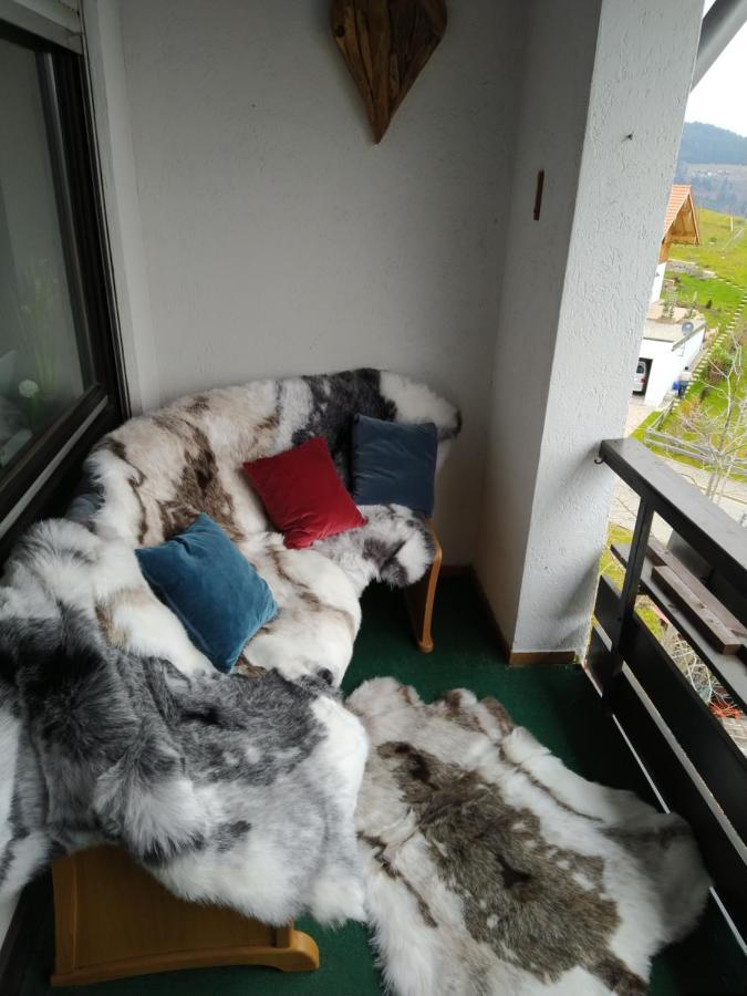 Mailin'S Apartment Inkl Oberstaufen Plus Card Kültér fotó
